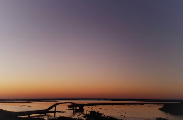 MIS abre exposição “Mato Grosso do Sul da Imagem e do Som” neste sábado