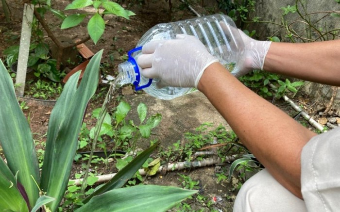 Ceará apresenta redução de casos de dengue, chikungunya e zika; prevenção deve ser reforçada no período pós-chuvas