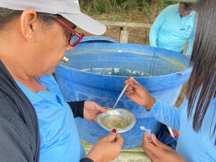 Município já registrou 532 casos de arboviroses em 2023. SMS reforça alerta contra o mosquito