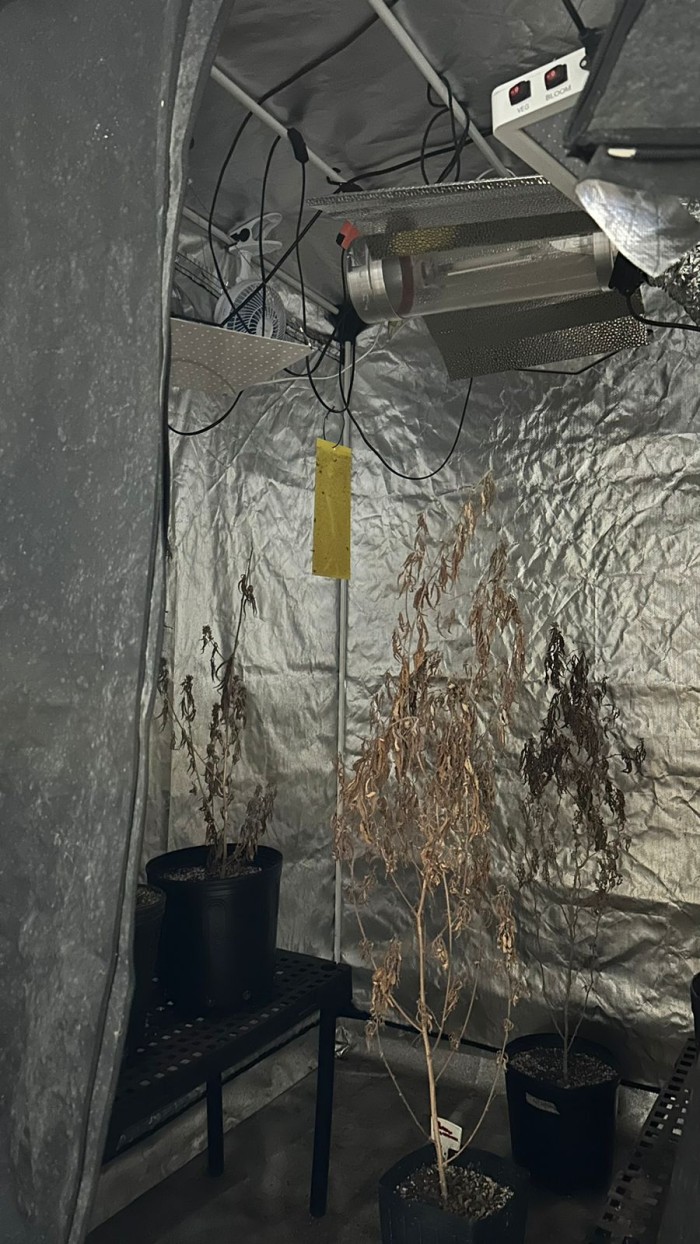 Polícia Civil desativa laboratório de drogas e prende homem em flagrante em Fortaleza