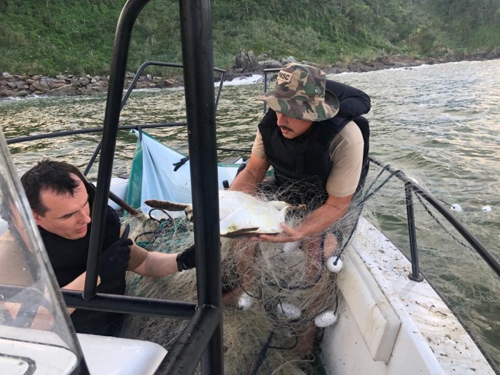 Polícia Militar Ambiental resgata tartaruga e apreende redes de pesca ilegais