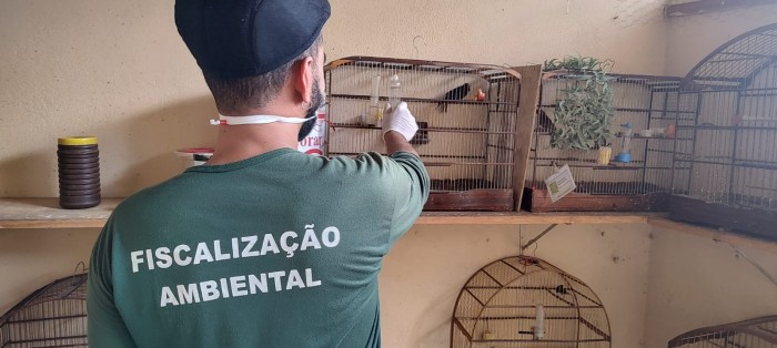Fiscalização ambiental flagra tráfico e cativeiro irregular de animais silvestres 