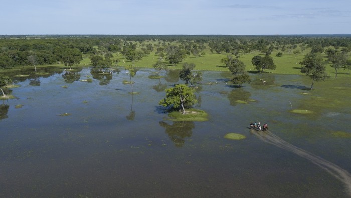 Pantanal: a maior planície de inundação contínua do planeta Terra