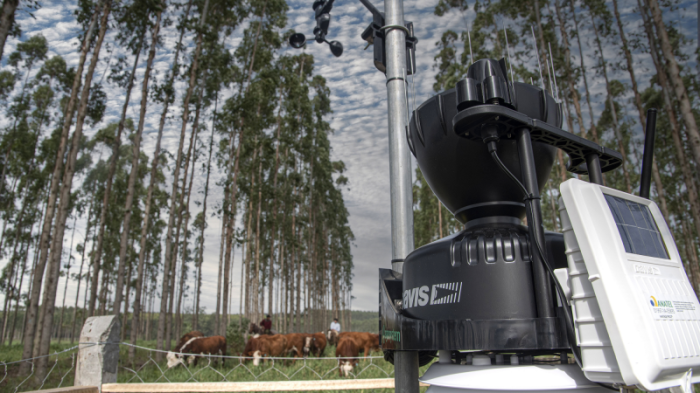 Estado amplia rede de estações meteorológicas e instala a primeira em sistema silvipastoril