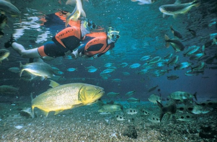 Turismo de MS faz capacitação sobre principais destinos na Convenção Anual BWT