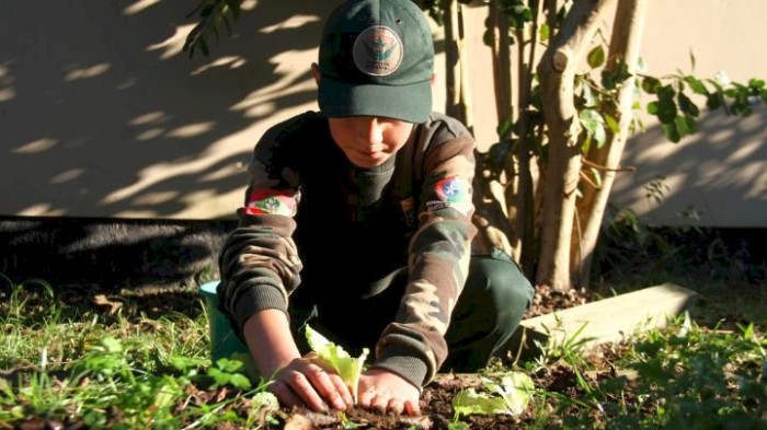 PMSC divulga programação da Semana Mundial do Meio Ambiente