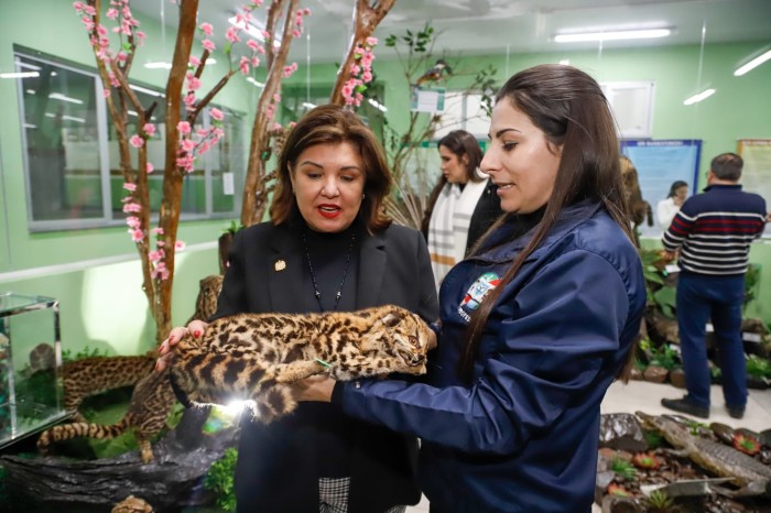 Vice-governadora Marilisa Boehm destaca projeto de taxidermia educativa em escola do Meio-Oeste de SC