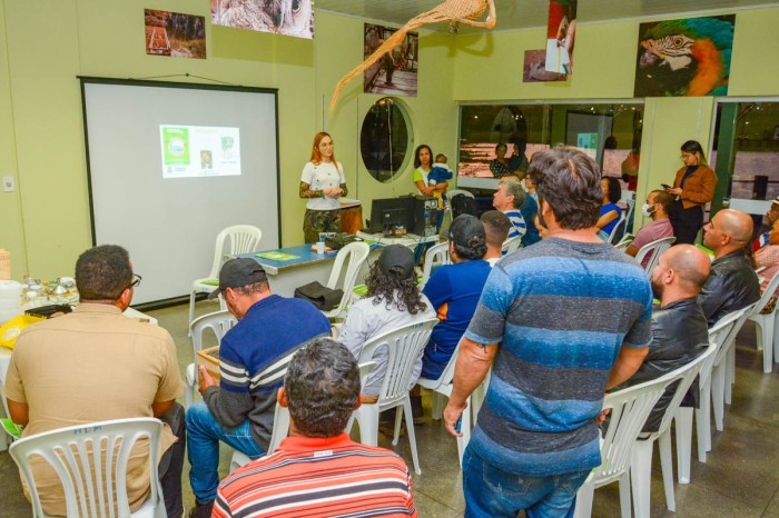 Semana de Meio Ambiente promove caminhada e oficina sobre abelhas sem ferrão neste sábado