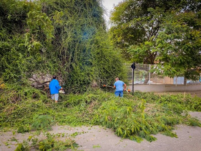 CEI Vovó Orcília recebe poda de árvore para dar mais segurança às crianças