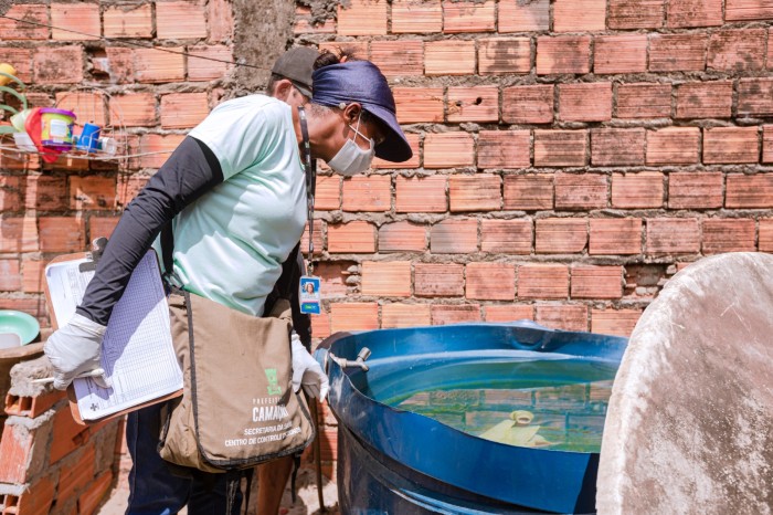 Casos de dengue aumentam 20% entre 2022 e 2023