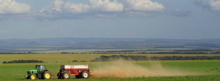 Empresa de Pesquisa Agropecuária lança informe sobre remineralizadores