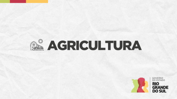 Financiamentos do Plano ABC+ atingem R$ 831 milhões na safra 2022/2023