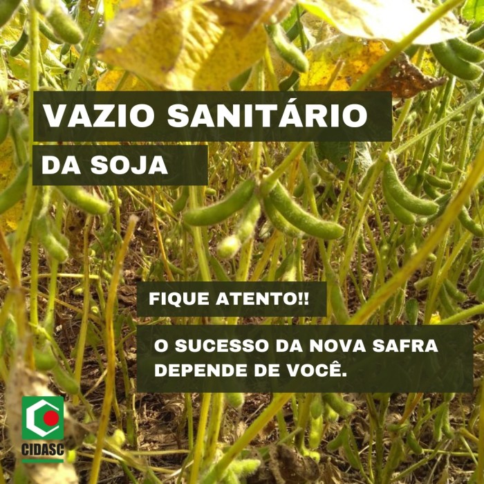 Vazio sanitário da soja começa no dia 22 de junho em Santa Catarina