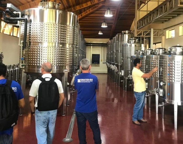 Técnicos da Emater RJ visitam produção vinícola do Sul de Minas 