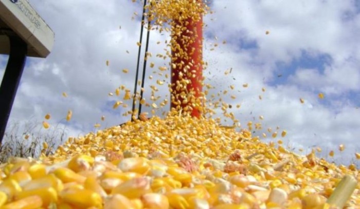 Agroindústria está presente no dia a dia da população sul-mato-grossense que já consome produtos “Made in MS”