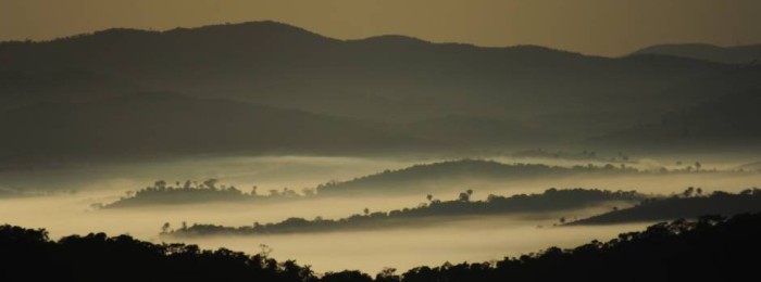 Parque Mata do Limoeiro, recanto de biodiversidade e educação ambiental, vai ganhar novos atrativos 