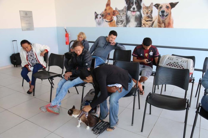 Em três meses, Centro de Apoio à Saúde Animal já ultrapassa mil atendimentos gratuitos de cães, gatos e equinos
