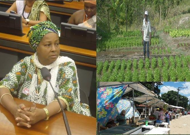 Assassinato na BA: DPU e MPF cobram medidas urgentes de proteção aos territórios tradicionais.