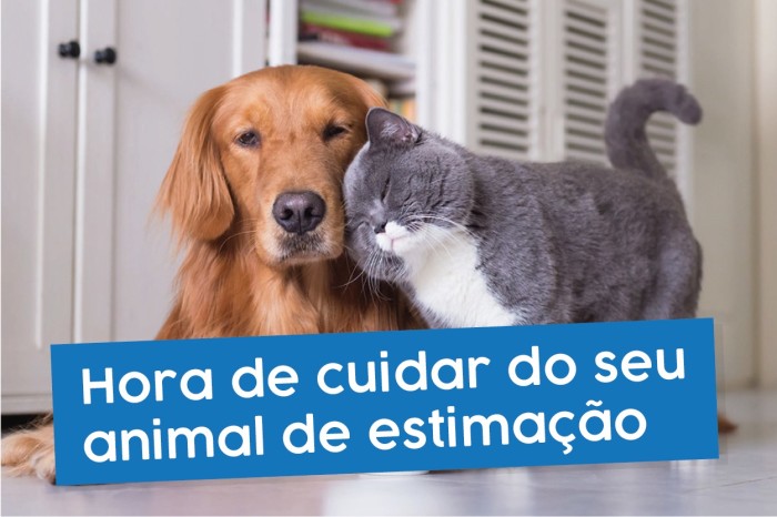 Campanha de Vacinação Antirrábica