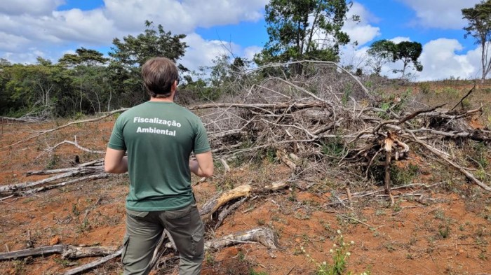 A cada hora, uma fiscalização contra o desmatamento ilegal é feita em Minas Gerais 