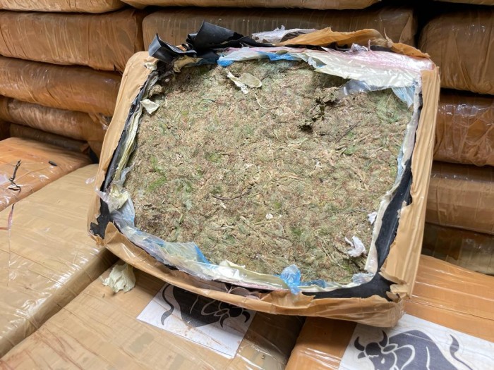 PC-AM deflagra operação policial e apreende mais de meia tonelada de maconha do tipo Skank
