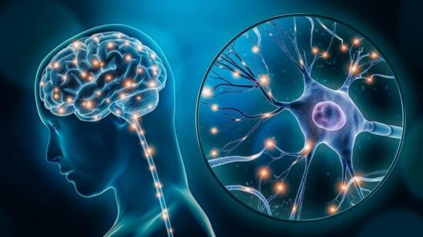 Parlamentar solicita contratação especialistas em neuropsicologia para o AME