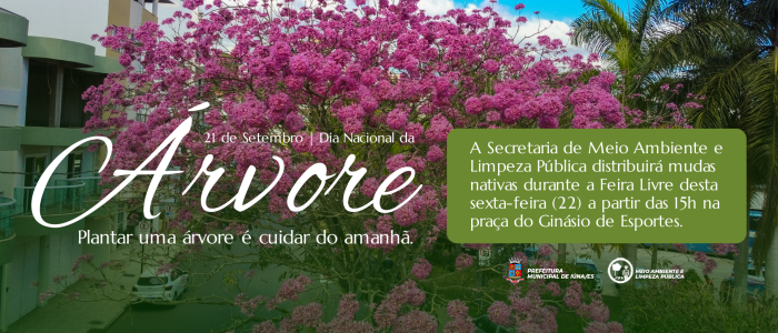 Dia Nacional da Árvore - conscientização para o equilíbrio do planeta