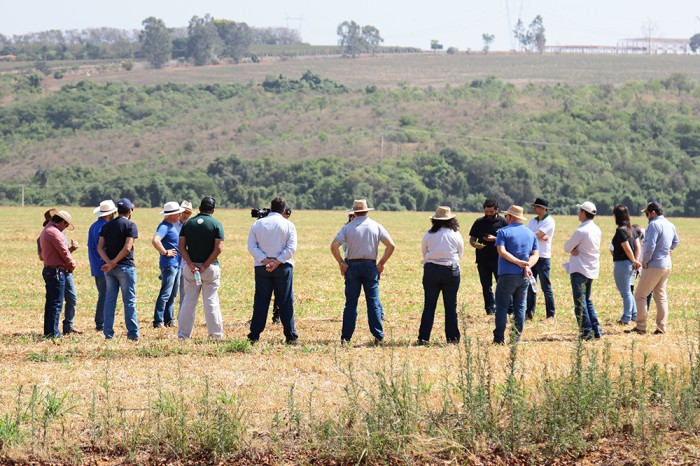 Engenheiros agrônomos e técnicos agrícolas participam de aula prática sobre tecnologias sustentáveis e inovadoras na agricultura