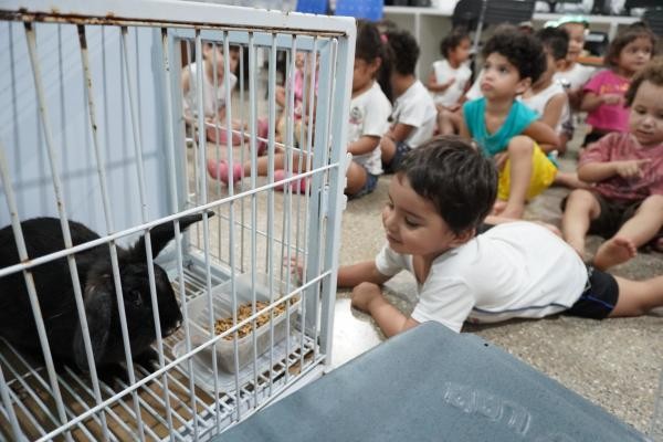 Alunos do Flor do Amanhã participam de aula prática e discutem cuidados com animais