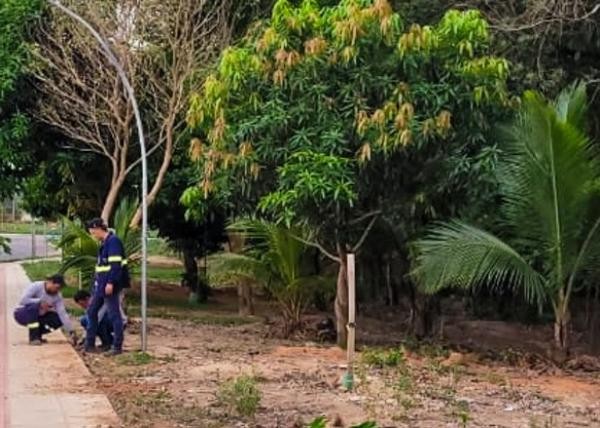 Prefeitura repõe fiação furtada no Flor do Cerrado