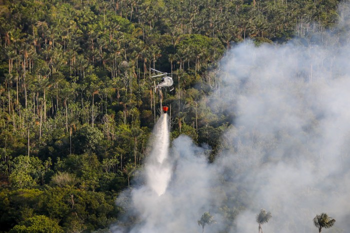 Amazonas fecha mês de setembro com redução de 20,3% dos focos de calor
