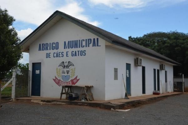 Presidente da Câmara requer informações acerca da empresa que atende animais no Abrigo Municipal