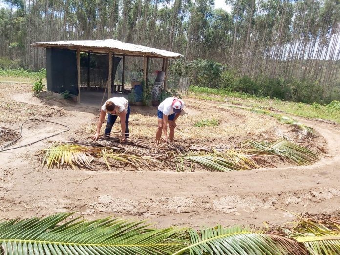Comunidade rural de Catu se prepara para uma agricultura familiar sustentável e produtiva