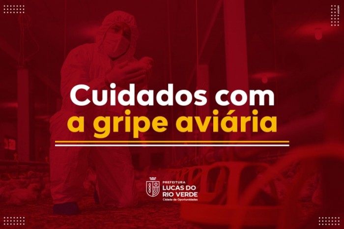 Secretaria de Agricultura e Meio Ambiente orienta sobre cuidados com a gripe aviária