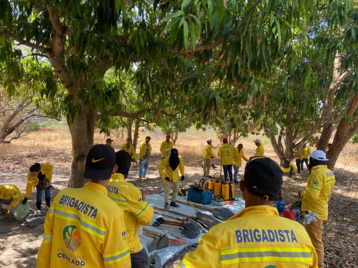 Curso de Instrução de Brigadas de Combate a Incêndios Florestais será realizado na região da Serra da Capivara